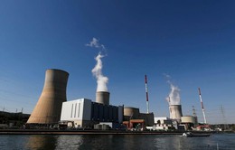 Năng lượng hạt nhân trở lại sau 1 thập kỷ thất sủng