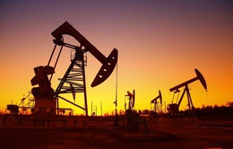 Giá dầu “đốt nóng” quan hệ giữa Mỹ - Vùng Vịnh