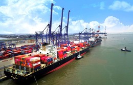 Gần 600 triệu tấn hàng hóa qua cảng biển Việt Nam