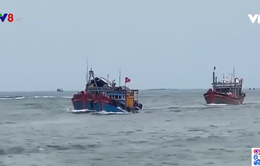 Ngư dân Quảng Ngãi khẩn trương vào bờ tránh trú bão số 9
