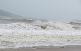 Bão số 9 gây mưa to, gió giật ở Lý Sơn, sóng biển dâng cao “đánh úp” các khu dân cư ven biển Phú Yên