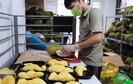Bà Rịa - Vũng Tàu: Sàn giao dịch nông sản - Lời giải cho bài toán tiêu thụ nông sản