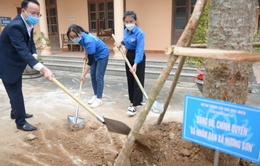 Phát động trồng hơn 1.000 cây mộc miên tại suối Yến, chùa Hương