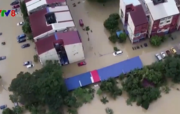 Lũ lụt và bão gây thiệt hại nghiêm trọng tại Malaysia và Philippines