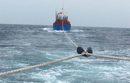 Cứu nạn tàu cá chở 12 ngư dân trên vùng biển Trường Sa
