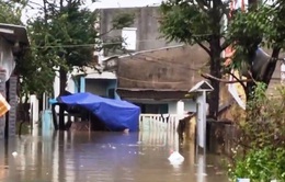 Hồ Phú Ninh xả lũ, TP Tam Kỳ tái diễn cảnh ngập lụt