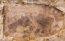 Phát hiện bức tranh khảm La Mã khổng lồ rộng hơn 70 mét vuông