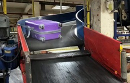 Phun khử khuẩn hành lý tại các cảng hàng không
