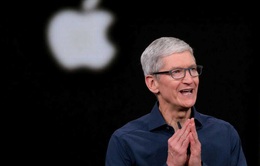 CEO Tim Cook: 2020 là năm sáng tạo nhất của Apple