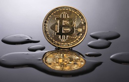 Bitcoin lao dốc mạnh, về mốc 47.000 USD