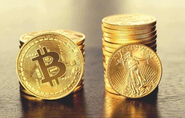 Tăng giảm thất thường, nhà đầu tư thót tim với “tàu lượn” Bitcoin