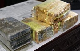 Truy tố đối tượng lừa 1,5 tỷ đồng để “chạy trắng án” ma túy