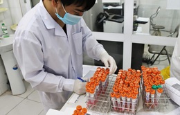 Hà Nội: Thêm 1 ca dương tính với SARS-CoV-2, đã được cách ly