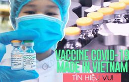 Bản tin Chống dịch 24h sáng 4/2: Tín hiệu vui của vaccine COVID-19 "Made in Vietnam"