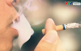 Gần 6.000 người tử vong mỗi năm vì hít phải khói thuốc lá thụ động
