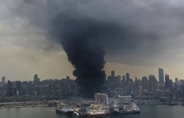 Xử lý hơn 50 container hóa chất nguy hiểm tại cảng Beirut