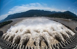 Luật Bảo vệ sông Dương Tử chính thức có hiệu lực