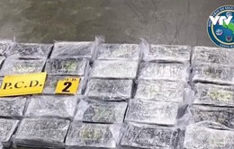 Costa Rica thu giữ hơn 3 tấn cocaine giấu trong container chở chuối