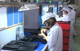 Doanh nghiệp công nghiệp hỗ trợ Việt khó vào chuỗi các tập đoàn đa quốc gia