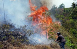 Trung Bộ đề phòng hỏa hoạn, cháy rừng do nắng nóng