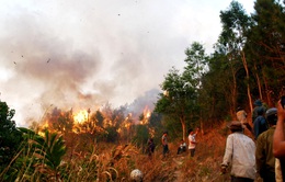 An Giang cảnh báo cháy rừng mức cực kỳ nguy hiểm