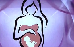 Lật tẩy chiêu lách luật của đường dây mang thai hộ liên quan bác sĩ sản khoa