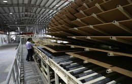 Ngăn chặn tình trạng đầu tư “núp bóng” để ngành gỗ Việt phát triển