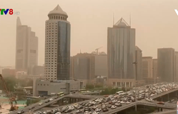 Thủ đô Trung Quốc chìm trong cát bụi ô nhiễm