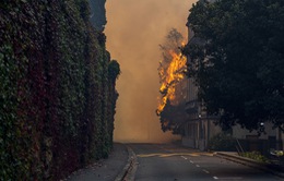 Nỗ lực dập tắt đám cháy rừng nghiêm trọng tại thành phố Cape Town, Nam Phi