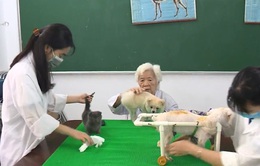 Cụ bà gần 90 tuổi làm phòng khám thú y miễn phí trong suốt 9 năm