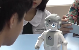 Học sinh có thể tìm hiểu trí tuệ nhân tạo AI robotics từ lớp 1