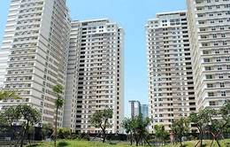 Cục Thuế TP Hồ Chí Minh đề xuất thu thuế người cho thuê căn hộ chung cư