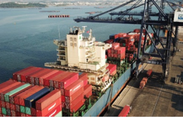 Quan hệ thương mại Việt Nam - Bỉ: “Đường cao tốc” kết nối thương mại EU - ASEAN