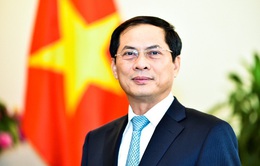 Tóm tắt tiểu sử Bộ trưởng Bộ Ngoại giao Bùi Thanh Sơn