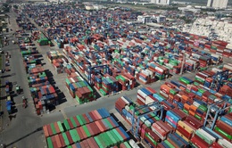Kiến nghị TP Hồ Chí Minh chưa thu phí hạ tầng cảng biển trong năm 2021