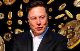 Bitcoin tiếp tục lao dốc sau tín hiệu mới từ Elon Musk