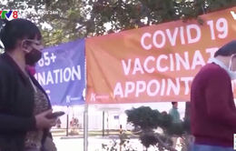 Người Mỹ ngày càng ủng hộ tiêm vaccine COVID-19