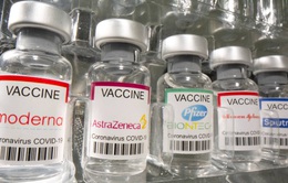 Nhật Bản phê duyệt vaccine COVID-19 của Moderna và AstraZeneca
