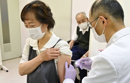 Nhật Bản thử nghiệm chứng chỉ vaccine điện tử