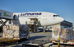 Vận tải hàng hóa “cứu” ngành hàng không châu Âu
