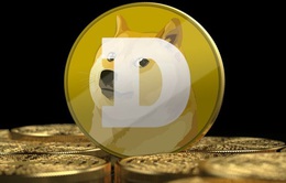 Dogecoin tăng giá "điên đảo"