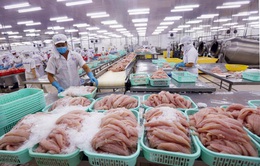 Trung Quốc tạm ngừng nhập khẩu thực phẩm đông lạnh từ Việt Nam và 10 quốc gia tại cảng Trạm Giang