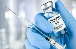 IMF, WB, WHO, WTO ra mắt trang web thông tin chung về vaccine COVID-19