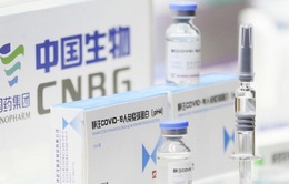 Vaccine COVID-19 Vero Cell đạt hiệu quả bảo vệ 78%