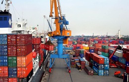 Kiến nghị thành lập tổ công tác gỡ khó về logistics, thiếu container