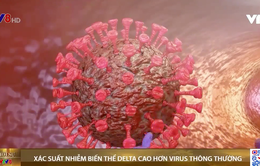 Biến thể Delta của SARS-CoV-2 có xác suất lây nhiễm đặc biệt cao