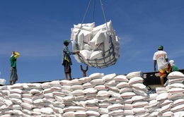 Nhập khẩu gạo Ấn Độ tăng bất thường, Bộ Công Thương kiểm tra 5 doanh nghiệp