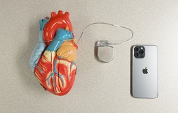 iPhone và nhiều thiết bị Apple có thể gây vấn đề nghiêm trọng về sức khỏe