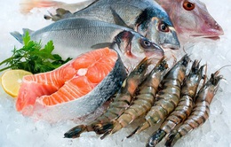 Làm thế nào để bảo quản hải sản tươi lâu trong tủ lạnh?