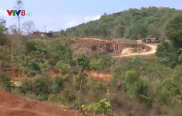 Đắk Lắk: Ngang nhiên hủy hoại đất nông nghiệp